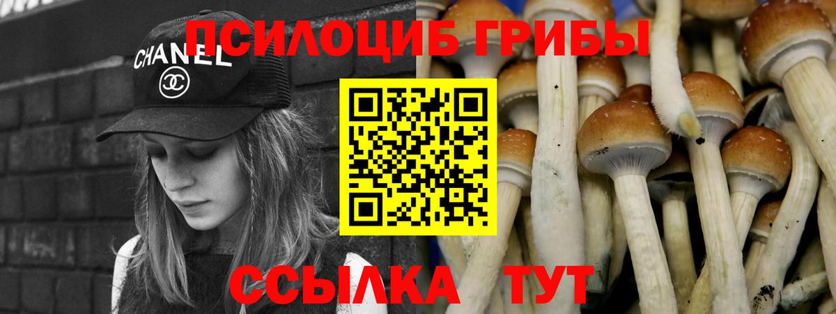 Галлюциногенные грибы мухоморы Брянск