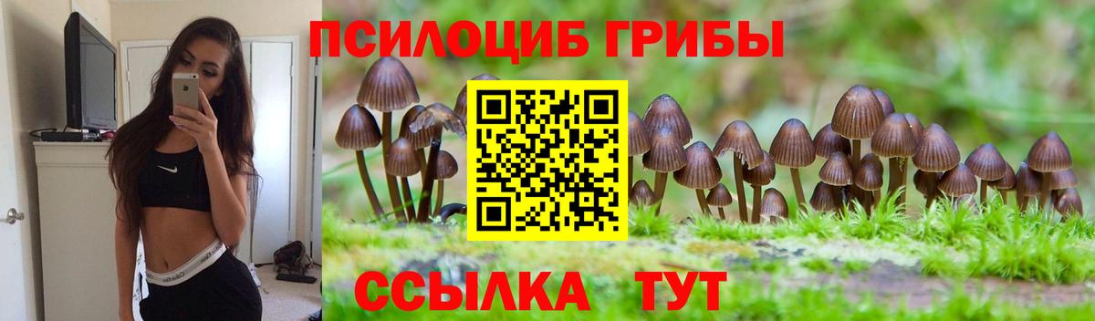Брянск  Псилоцибиновые грибы мухоморы  Вход с VPN  Галлюциногенные грибы Psilocybine cubensis 